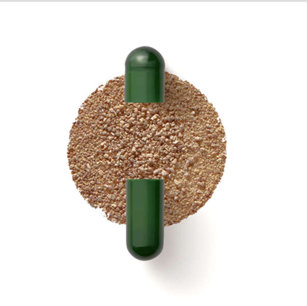 DS-01 Daily Synbiotic