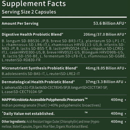 DS-01 Daily Synbiotic